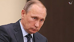 Владимир Путин подписал инициированный ОНФ закон о «зеленом щите»